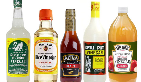 All You’d Ever Want to Know About Vinegar, Baking Soda… and Pet Urine
