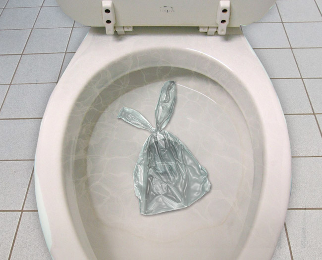 Can I Flush Dog Poop Down The Toilet
