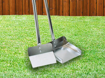 Top 10 Most Common Poop Scoopers for the Yard