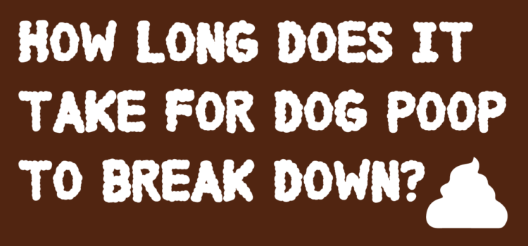 How long does it take dog waste to decompose?