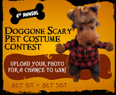DOGGONE SCARY Online Pet Costume Contest | 2018