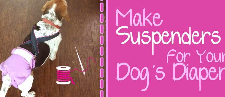 Make Suspenders for Your Dog’s Diaper in Less Than 5 Minutes