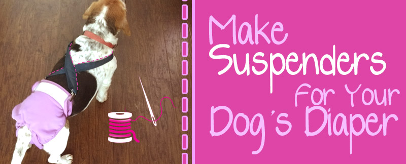Make Suspenders For Your Dog S Diaper In Less Than 5 Minutes - How To Make Diy Dog Diapers At Home