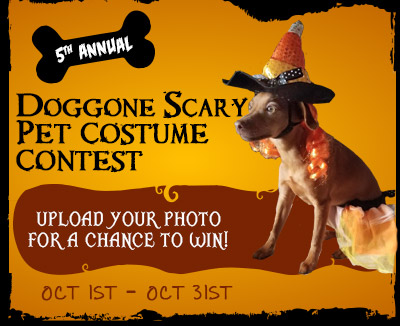 DOGGONE SCARY Online Pet Costume Contest | 2019