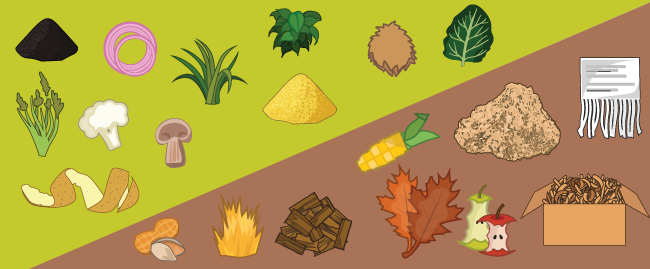 Common Misconceptions on Browns and Greens in Composting